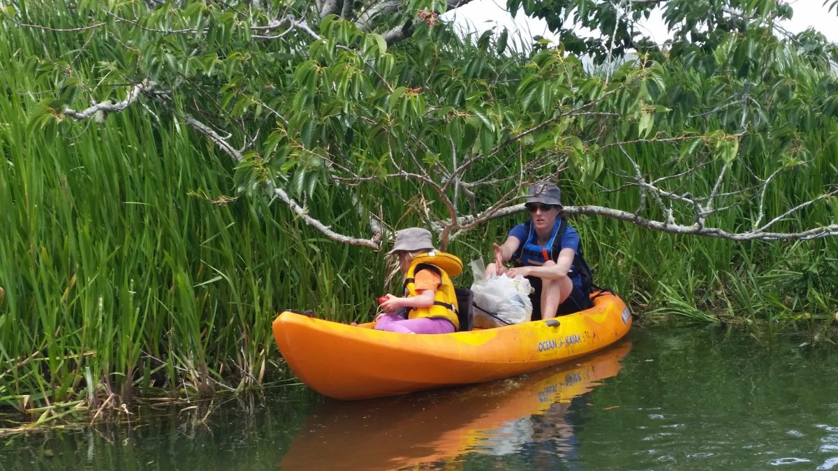 New Ohau Channel Cleanup image New Ohau Channel Cleanup image