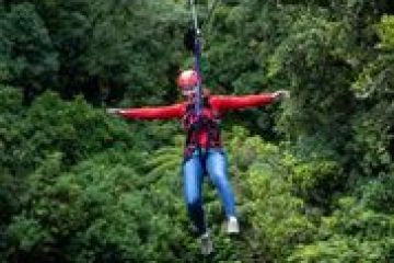 a person throwing a frisbee in a forest